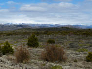 Der Norden von Patagonien 
