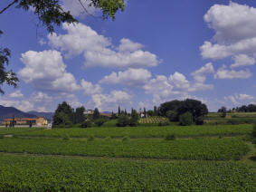 Landschaft der Franciacorta