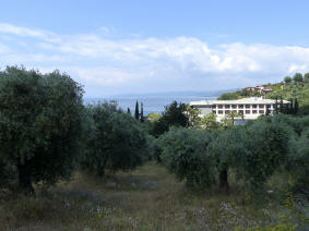 Der Oliven-Garten des Resorts